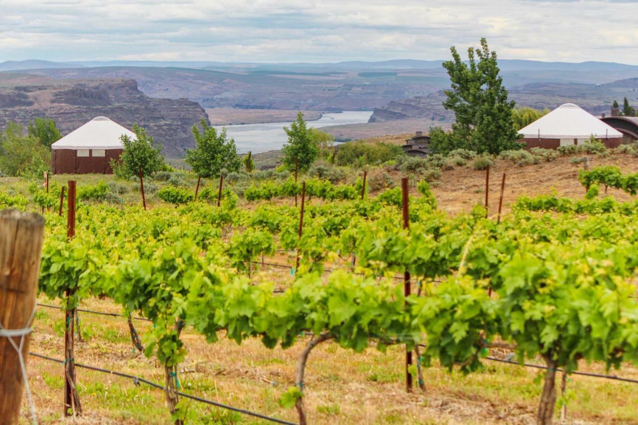 Columbia River Gorge Retreat At Cave B Ridge Quincy Екстериор снимка